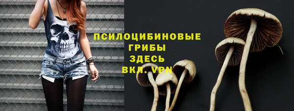 a pvp Абдулино