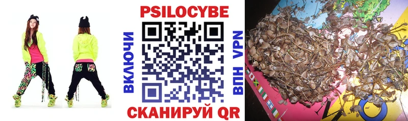 Галлюциногенные грибы Psilocybe где можно купить наркотик OMG зеркало Руза